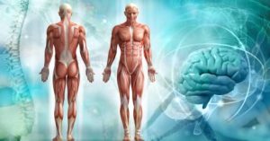 Embodied cognition